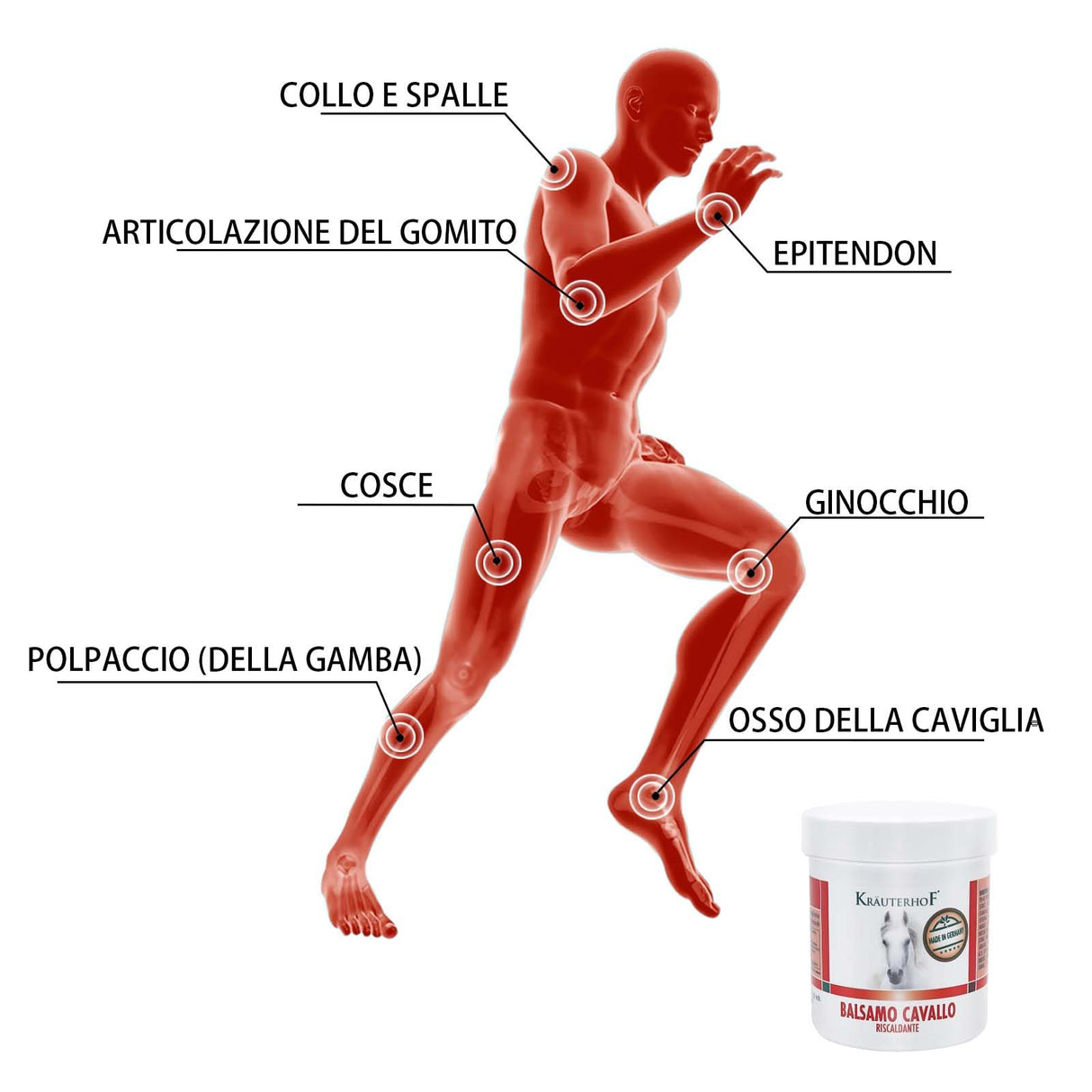 Kräuterhof Balsamo per cavalli riscaldante, extra forte, gel massaggiante - Rimedio naturale per il sollievo muscolare