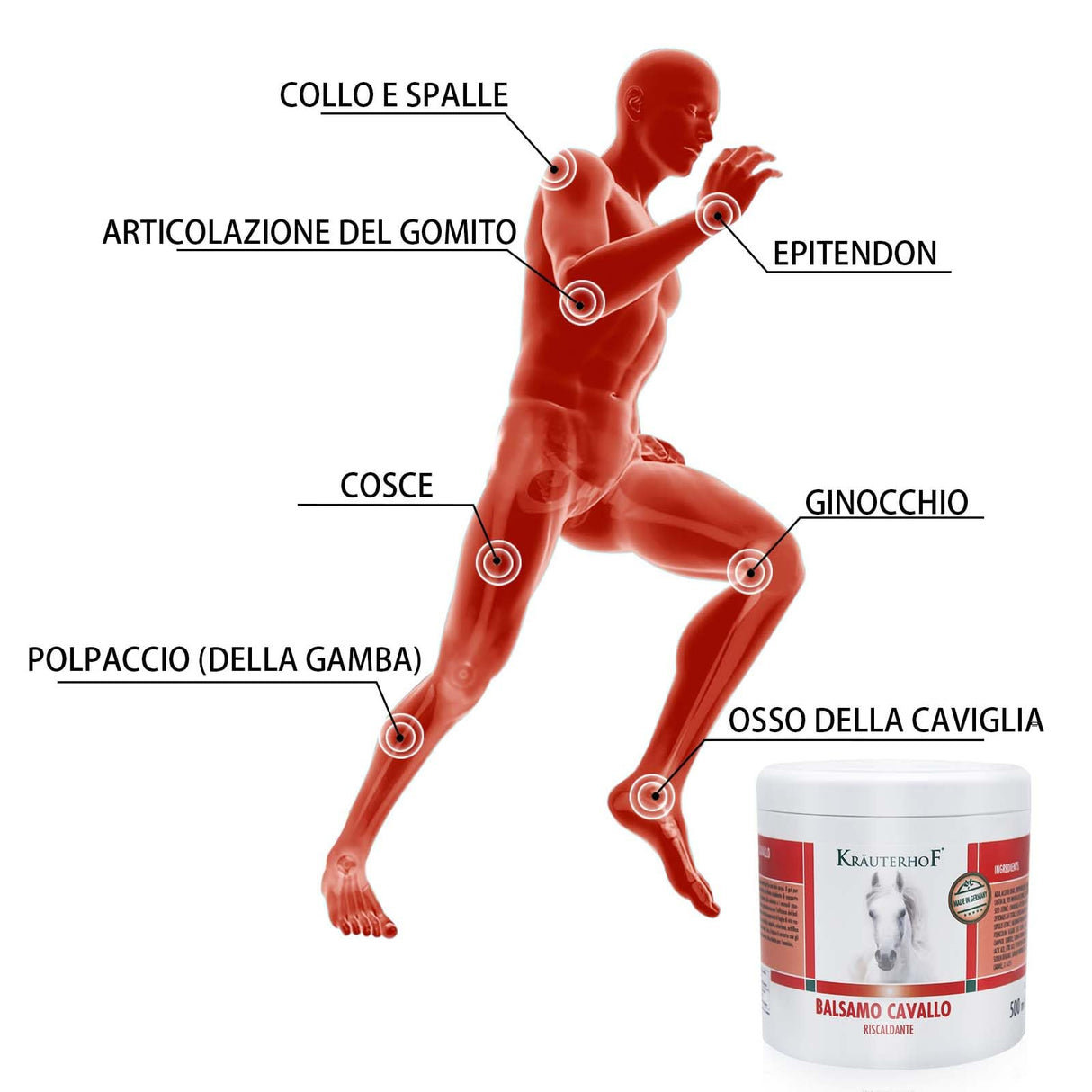 Kräuterhof Balsamo per cavalli riscaldante, extra forte, gel massaggiante - Rimedio naturale per il sollievo muscolare