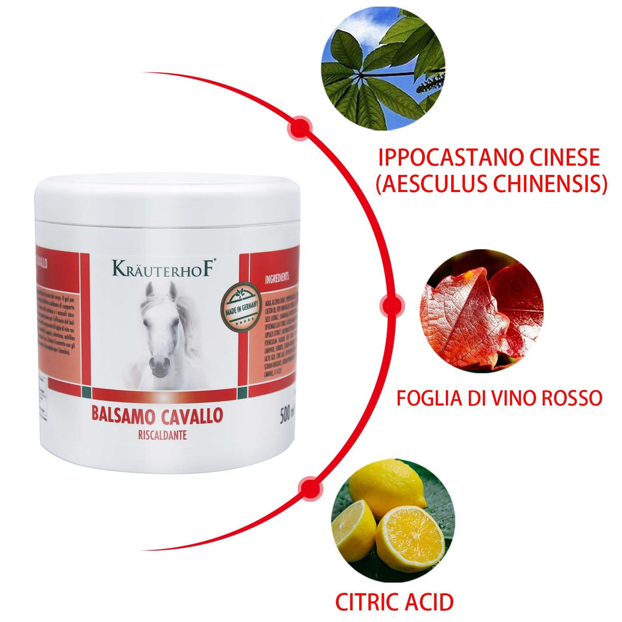 Kräuterhof Balsamo per cavalli riscaldante, extra forte, gel massaggiante - Rimedio naturale per il sollievo muscolare