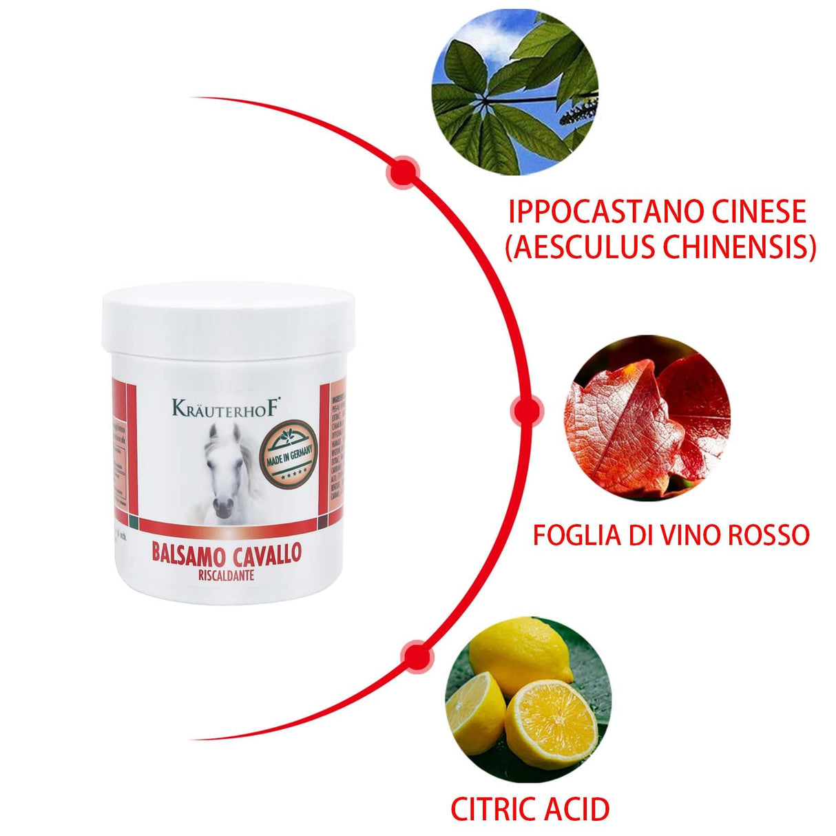 Kräuterhof Balsamo per cavalli riscaldante, extra forte, gel massaggiante - Rimedio naturale per il sollievo muscolare