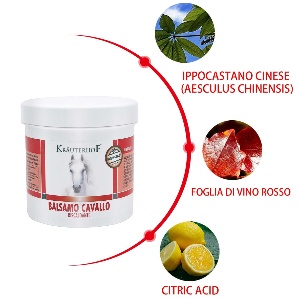 Kräuterhof Balsamo per cavalli riscaldante, extra forte, gel massaggiante - Rimedio naturale per il sollievo muscolare