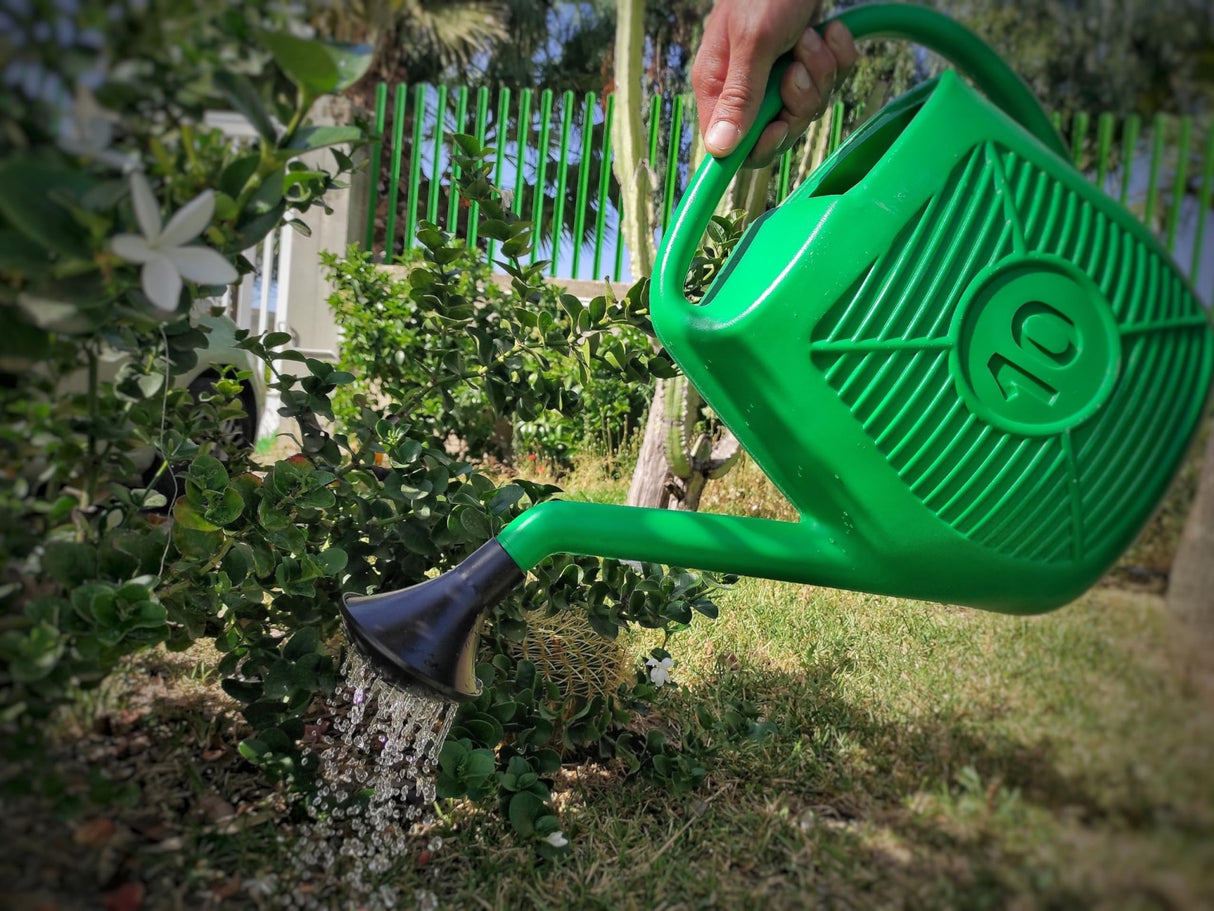Ecoplast, Annaffiatoio, Ideale per il Giardinaggio, Piante e Fiori, Comodo da Usare, Resistente, Duraturo e Indeformabile, con Doccetta Inclusa, Made in Italy - IDRAULICAMENTEEcoplast, Annaffiatoio, Ideale per il Giardinaggio, Piante e Fiori, Comodo da Usare, Resistente, Duraturo e Indeformabile, con Doccetta Inclusa, Made in Italy