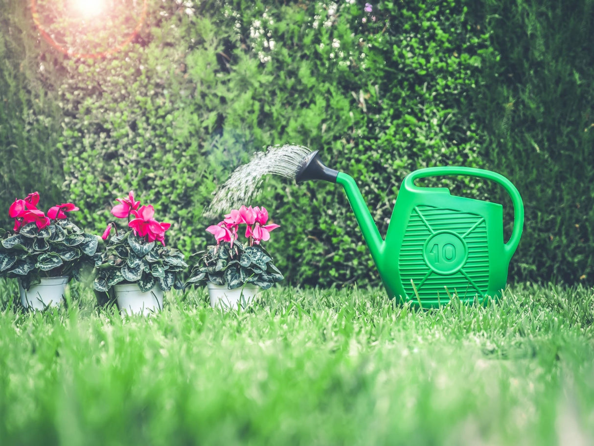 Ecoplast, Annaffiatoio, Ideale per il Giardinaggio, Piante e Fiori, Comodo da Usare, Resistente, Duraturo e Indeformabile, con Doccetta Inclusa, Made in Italy - IDRAULICAMENTEEcoplast, Annaffiatoio, Ideale per il Giardinaggio, Piante e Fiori, Comodo da Usare, Resistente, Duraturo e Indeformabile, con Doccetta Inclusa, Made in Italy